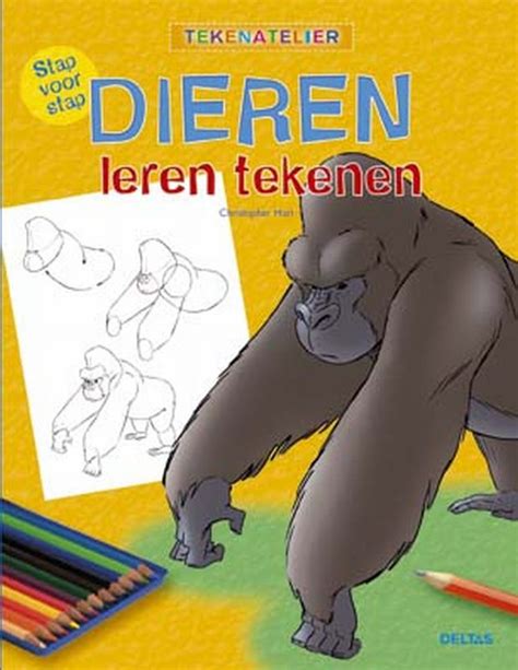 Tekenen stap voor stap book. Bestel Stap voor stap dieren leren tekenen- Hart van C ...