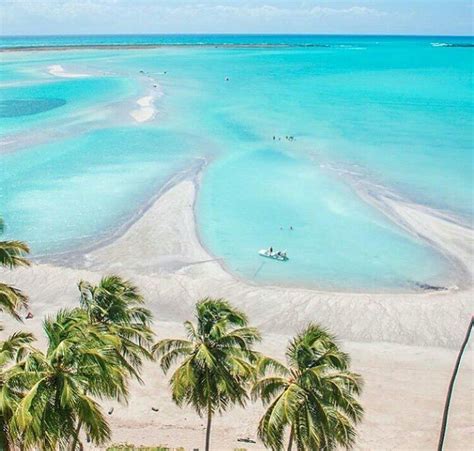 Maybe you would like to learn more about one of these? Praia do Antunes, Maragogi | Viagens, Brasil turismo ...