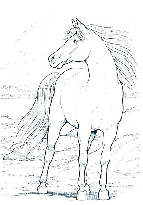 All the horse colors explained with a sample photo of each. Free Printable Horse Coloring Pages For Adults at ...