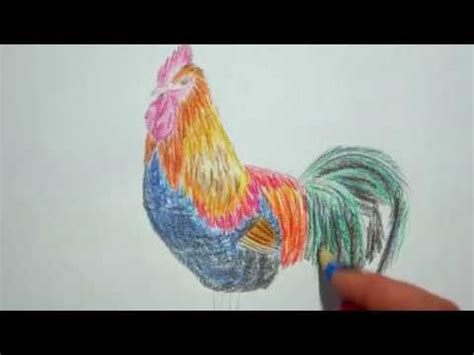 Hühnerfleisch hühnerpoule pondeuse hahn, huhn, tiere, landwirtschaft, schnabel png. Hahn zeichnen lernen - Huhn malen - how to draw a cock ...