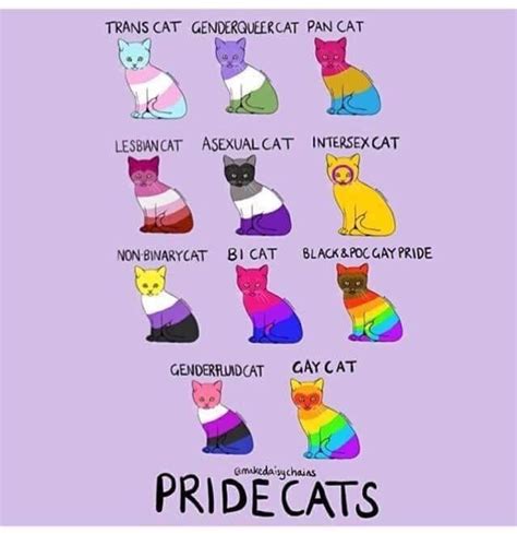 These lgbt pride flags represent the lgbt movement as a whole with sexual orientations, gender rainbow flag is widely recognized symbol of the lgbt community and is seen at pride events all. Pin on Lgbtq pride