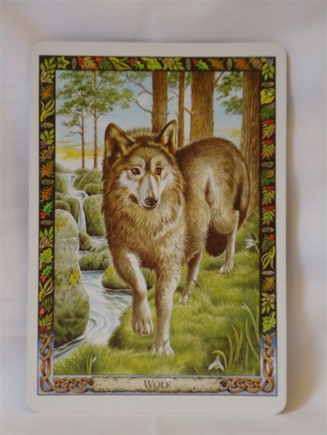 Fortunately it's 2018, so you don't have to venture into the woods to find your spirit animal or decipher ancient star charts. Daily Card Reading for 12-1-14 | Whats your spirit animal ...