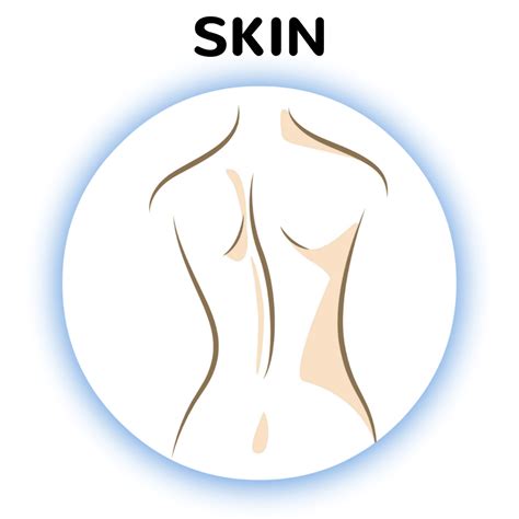Laser hair removal is a relatively quick and painless procedure that works on the principle of selective photothermolysis (sptl). Laser Hair Removal Indianapolis - Laser Tattoo Removal ...