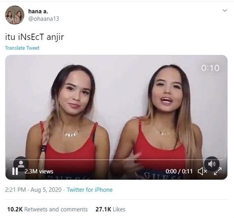 Video the connel twin insect,viral video youtuber the. The Connell Twins Salah Sebut Incest Jadi Insect, Apa sih ...