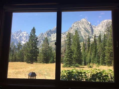 You will see a little of everything. Jenny Lake Lodge Dining Room, Grand Teton National Park ...