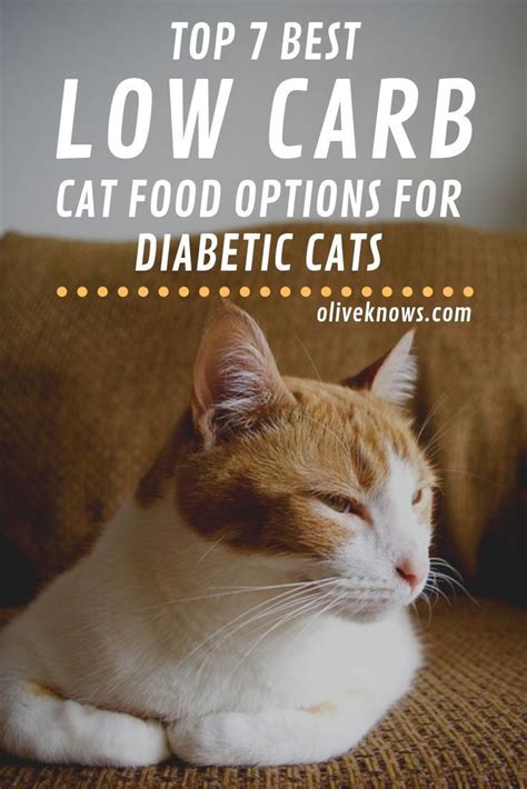 The best weight loss cat foods are high in protein and low in calories. Top 7 Best Low Carb Cat Food Options for Diabetic Cats ...
