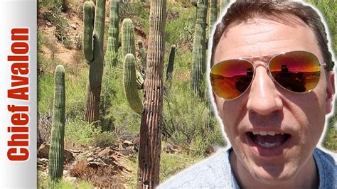 The cactus surely looks very dangerous to get too close to. THIS IS A HUGE MONSTER CACTUS! #6 - YouTube