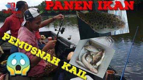 Kalkulator mata uang disediakan dengan harapan akan berguna, tetapi tanpa garansi; Panen Ikan pemusnah mata kail - YouTube