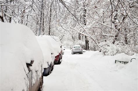 В подмосковном фрязине прошел часовой снегопад. GISMETEO.RU: Москва: снегопад века или буря в стакане воды ...