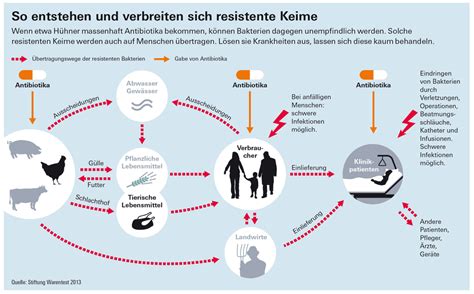 Durch die hohe temperatur werden die bakterien abgetötet. Warum contra Industriehuhn? Die Hintergründe! - Wittstock ...