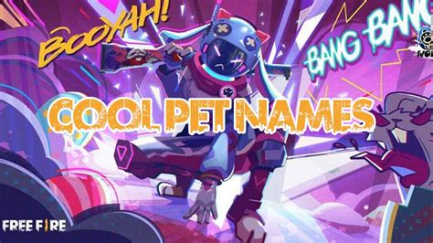 But the kitty has no skill, so it's not valuable for the latest version of the game. How To Get Stylish Pet Names In Free Fire July 2020