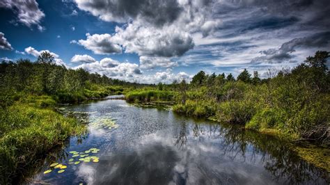 Wallpaper Pelho28: Wallpaper Hd Nature