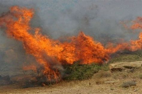 Τούρκοι πετούν στουπιά με φωτιά στην εκκλησία για να κάψουν τους έγκλειστους. Φωτιά στην Κορινθία - Κοινωνία - Athens magazine