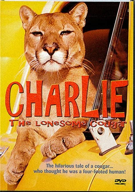 A pacific northwest forester (ron brown) adopts an orphan cougar and raises him in a lumber camp. Charlie The Lonesome Cougar (DVD 1967) | DVD Empire
