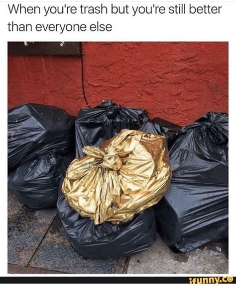 We did not find results for: When You're Trash but You're Still Better Than Everyone ...