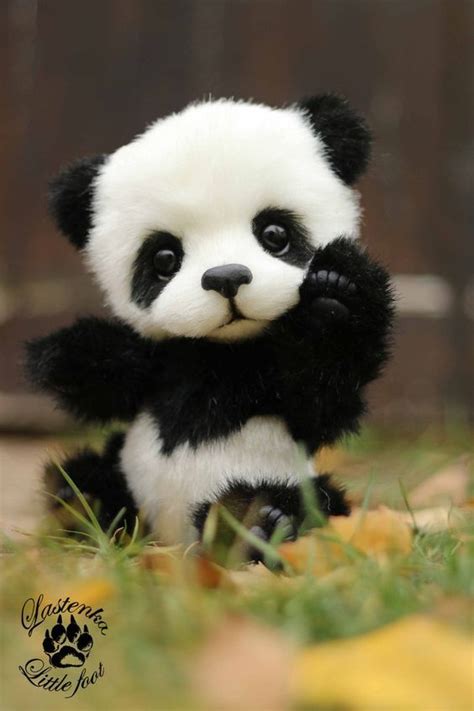 We did not find results for: panda!!! | Pasgeboren dieren, Schattige babydieren ...