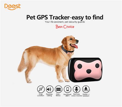 En gps tracker för hund är egentligen en hundpejl som används för spårning av hundar. Spårsändare, gps tracker sändare för hund. Spåra dina djur ...