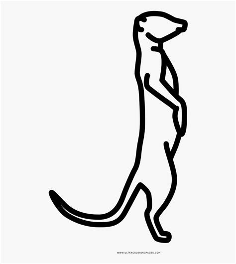 100% free coloring page of a meerkat. Meerkat Coloring Page - Meerkat Color Drawing , Free ...