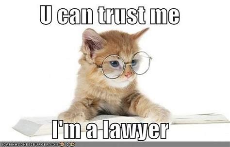 20 lawyer cat memes ranked in order of popularity and relevancy. Lawyer cat | Cats, Cat memes, Funny cats