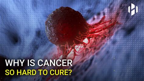 But after billions of dollars in research, we haven't found a solution for a disease that affects more than 14 million people and their families at any given time. Why is Cancer Hard to Cure? - YouTube