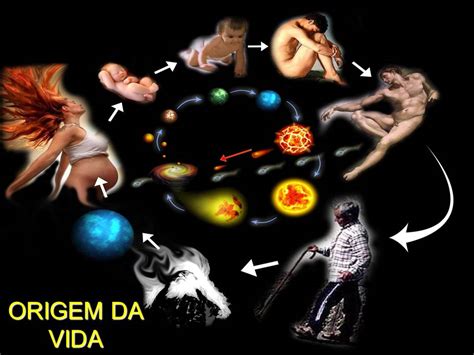 14 фраз в 7 тематиках. Professor Jimmy Oliveira: Origem da Vida - Biogênese x ...