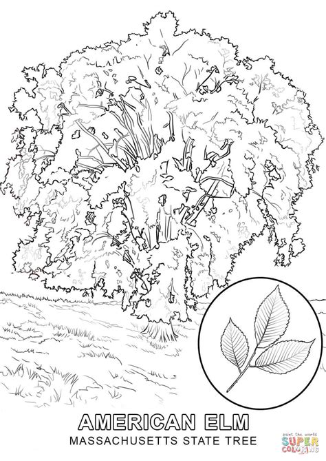 Free printable kawaii coloring pages. Acacia Tree Drawing at GetDrawings | Free download