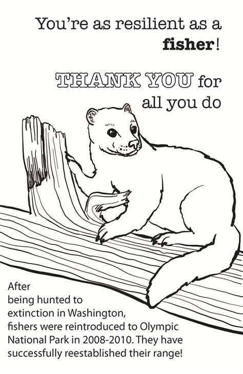 Hellokids members love this marmot coloring page. Coloring Pages - Olympic National Park (U.S. National Park ...