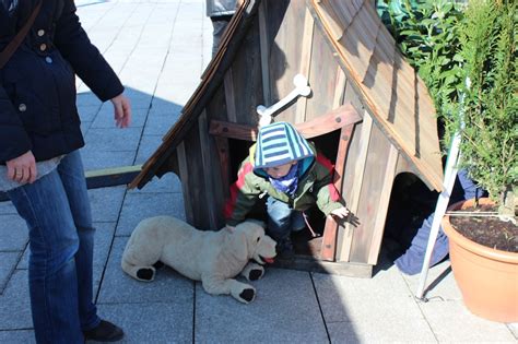 Maybe you would like to learn more about one of these? KÜSTERS Garten- und Landschaftsbau, Neuss - News