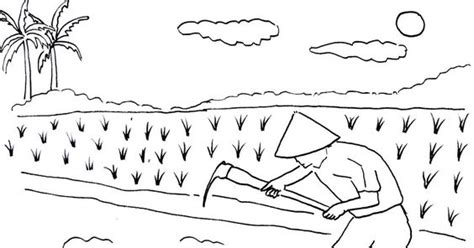 Alam lanskap laut air matahari terbenam langit indah senja pemandangan laut. 66+ Gambar Pemandangan Buat Anak Sd