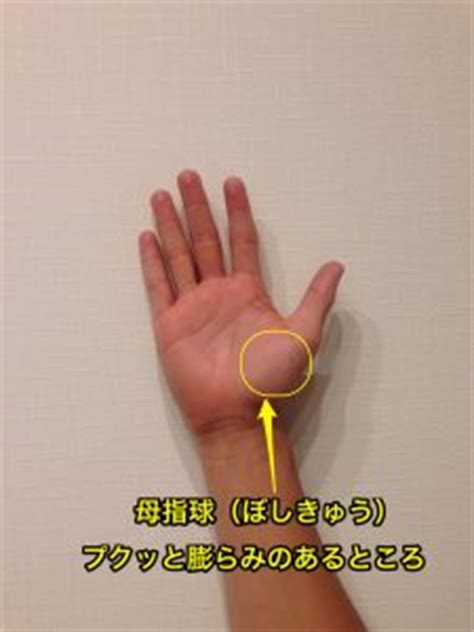 指のしびれの原因の1つ『手根管症候群』の概要とリハビリ治療 ...