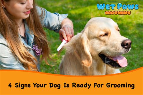 The ruff life mobile is at your service and ready to get your little (or big) buddy groomed at your convenience. 4 Signs Your Dog is Ready for Grooming - Los Angeles ...