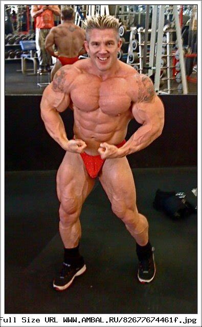 Andy haman , a professional bodybuilder based out of colorado. Энди Хаман (Andy Haman) , фотографии, биография ...