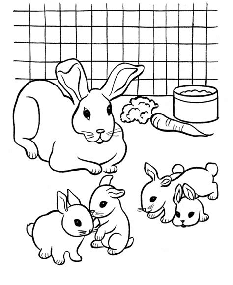Kelinci menggambar mewarnai 9 gambar hewan binatang gambar kelinci. Gambar Mewarnai Kelinci yang Lucu