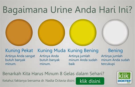 Coba perhatikan saat kamu buang air kecil, apa warna air kencingmu? Konsep 33+ Cara Mengatasi Air Kencing Berwarna Kuning