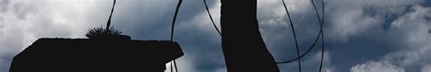 Columbus, Ohio Chimney Sweeping and Cleaning Services ...