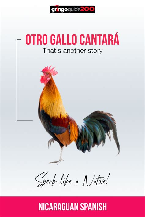 In addition, the starting time for. In the mornings all the roosters are crowing, one after another. In the same way, we hear one ...