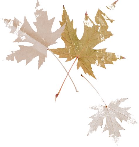 ЯП файлы - осенние листья