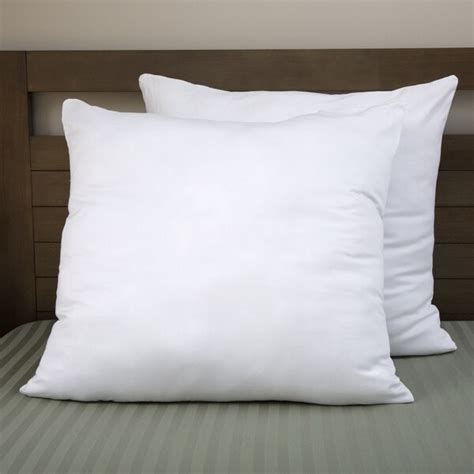 This twosome is filled with hypoallergenic down alternative, providing the perfect choice for those. Moments Cotton Overfilled 30 x 30 Euro Square Pillow (Set of 2) - 17415998 - Overstock.com ...