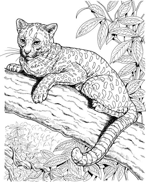 Here a lot of hard coloring pages of different animals in particular wolves, bears, giraffes. Jaguar coloring pages to download and print for free