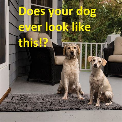 Dog Gone Smart Dirty Dog Doormat | HubPages