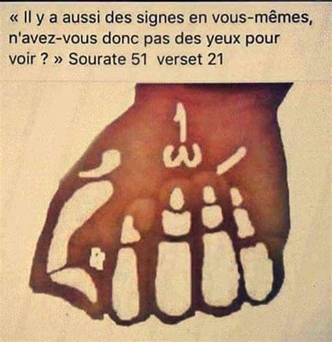 #bxl #rappel #islam #rappelislam #rappels | Rappel islam, Apprendre l ...