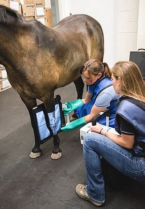 We do recovery care and focus on getting horses well again following an acute injury or illness. Radiographic Imaging | Woodside Equine Clinic