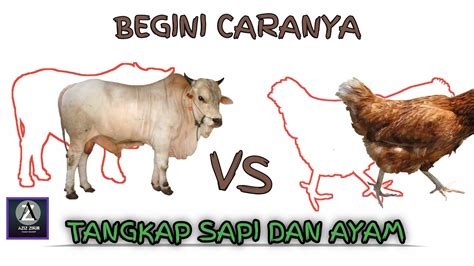 Maybe you would like to learn more about one of these? VIRAL !! CARA BIKIN VIDEO GAMBAR AYAM BERGERAK ...