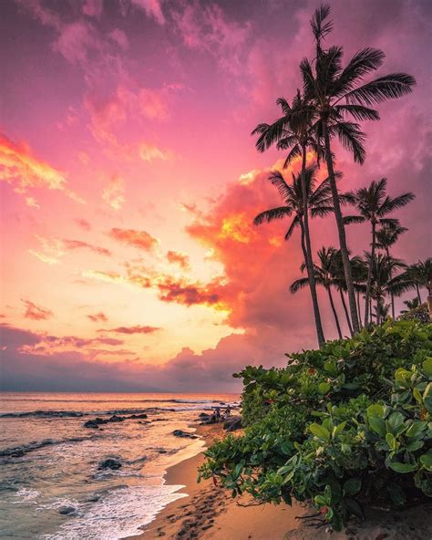 Nothing beats watching nature's dramatic introduction to or finale of a day well spent reflect in the shimmering ocean, palm trees gently swaying in the distance. Pin by Lucy Labowsky on Sea Scapes in 2020 | Palm tree ...