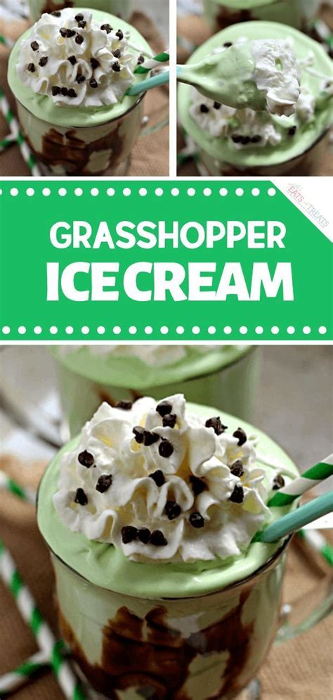 Here is proof that ice cream isn't just for kids. Grasshopper Ice Cream Dessert is a guaranteed hit! Light, fluffy, and minty ice cream is topped ...