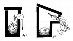 General information on how to attract nesting. Weather dome to protect seeds from rain and monofilament ...