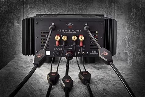 Maybe you would like to learn more about one of these? Gryphon Audio Design Vanta Cables: Gold-Silver Alloy with ...