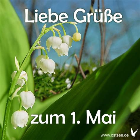 Check spelling or type a new query. Grüße zum 1. Mai | Maifeiertag, Grüße, Grüße zum 1 mai
