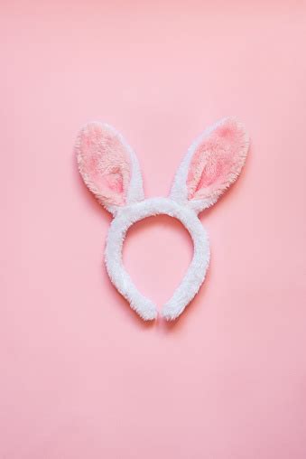 Are you searching for bunny ears png images or vector? Top View Of White Fluffy Bunny Ears Over Pink Background ...