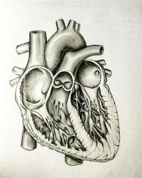 Check spelling or type a new query. Pencil Drawing Heart at GetDrawings | Free download